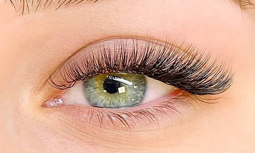 Lashes